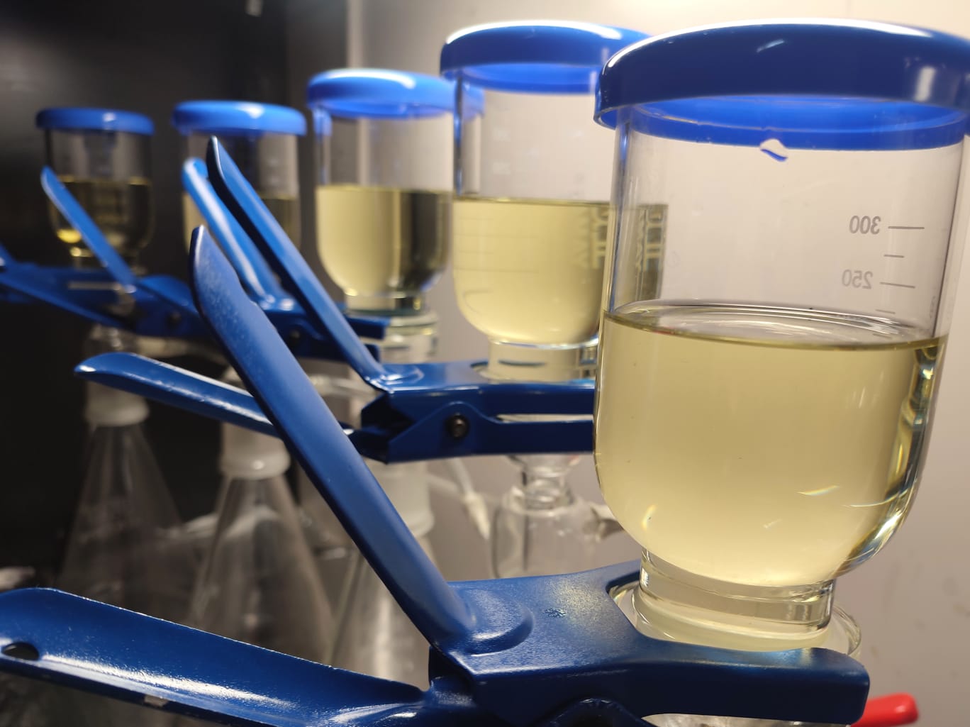 Laboratorio Primus